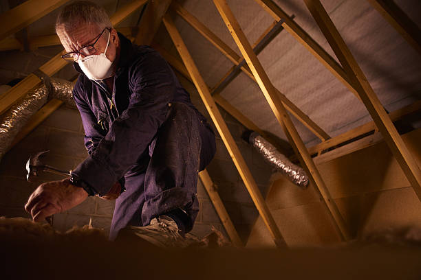 Professional Insulation Contractor in Chelsea, AL